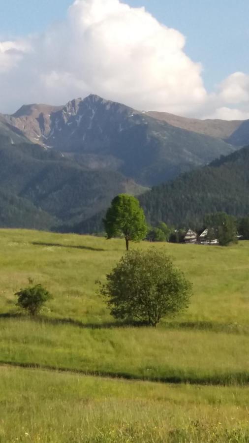 Domek Pod Ubocom Zakopane Exterior photo